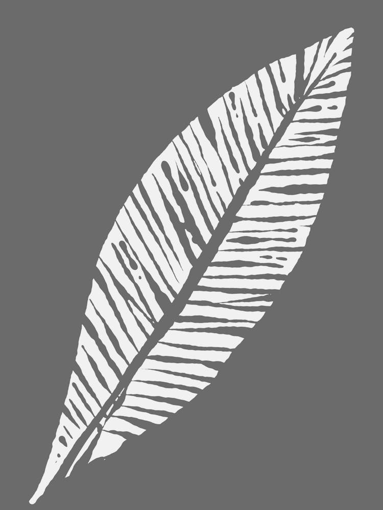 Palm Leaf 2