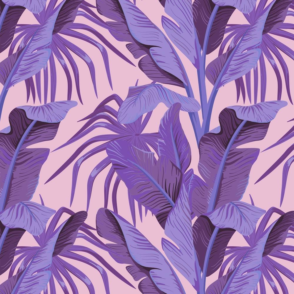 Galaxy Eyes Tropical17 Starling