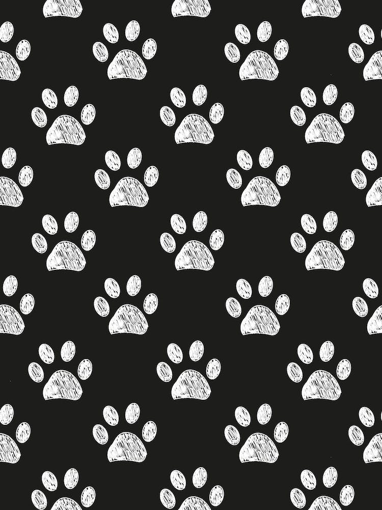 Black White Paw Prints