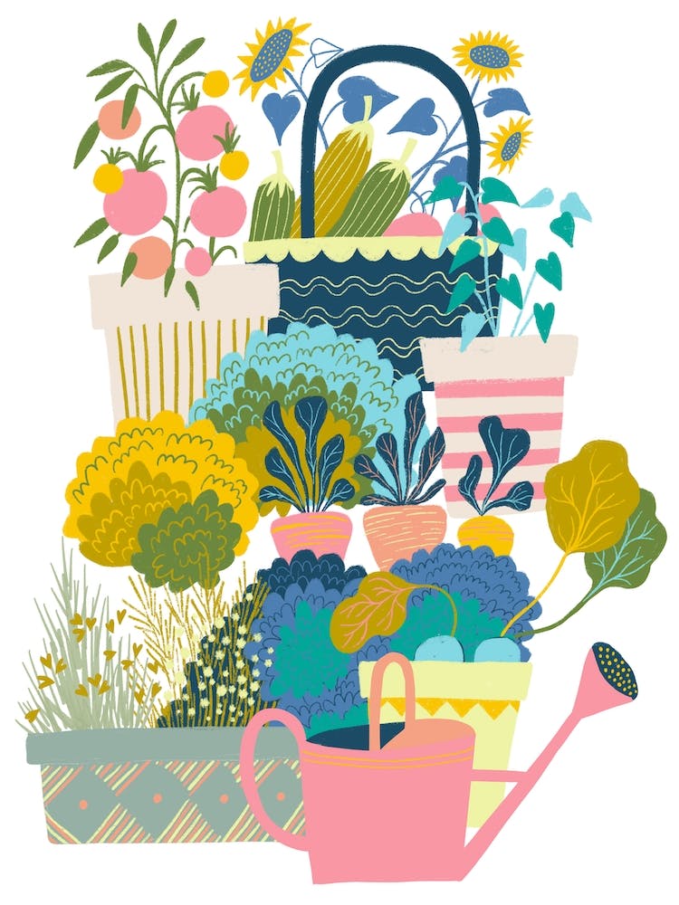 Herbs And Flowers Garden