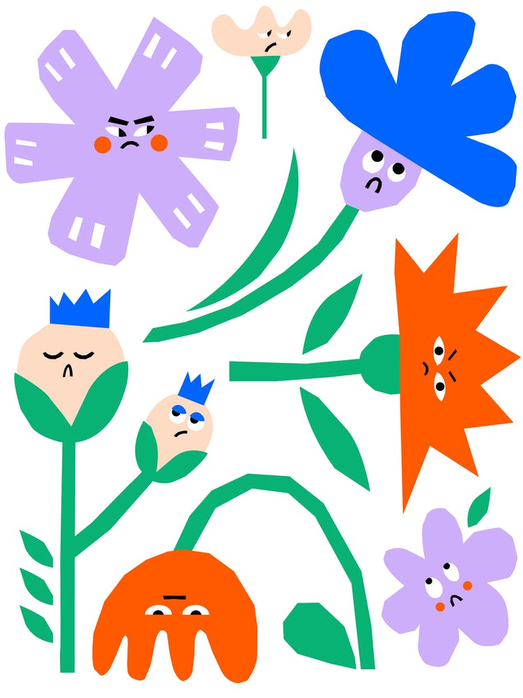 Grumpy Flowers - Bloom with Attitude!