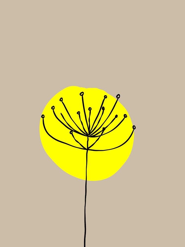 Yellow Dandelion