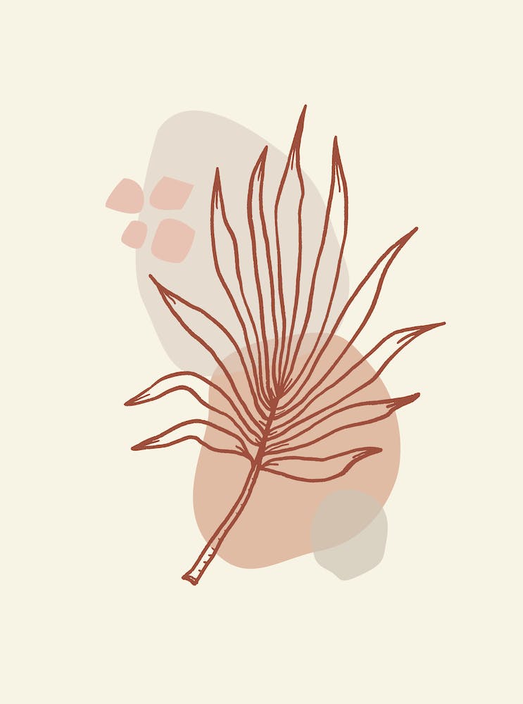 Palm Leaf