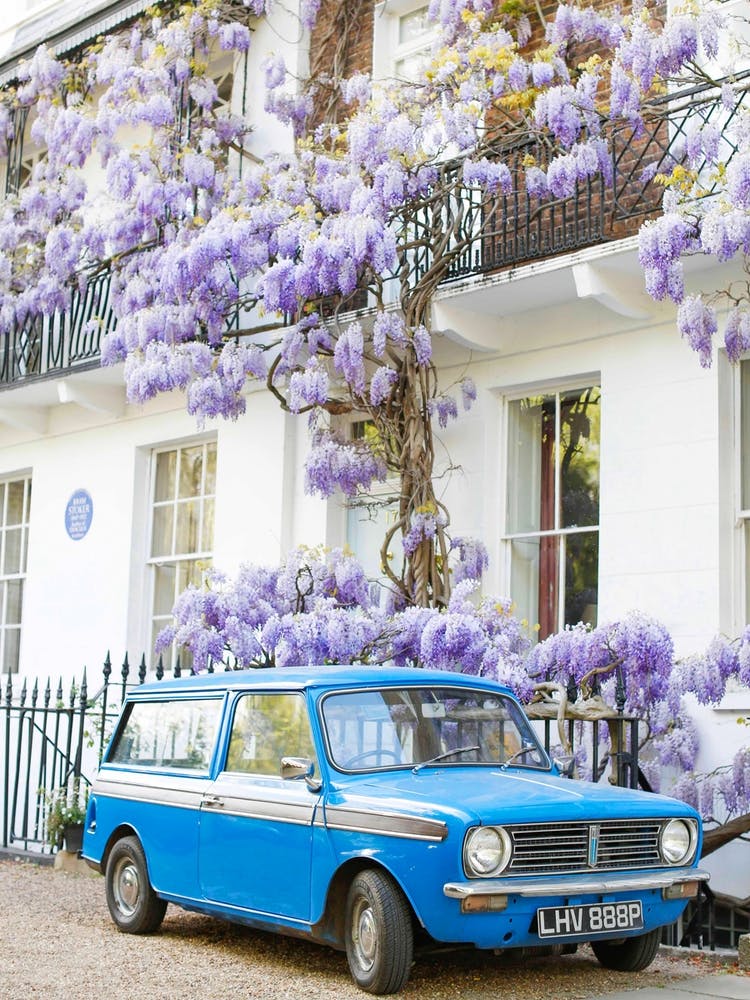 Blue Car Wisteria London