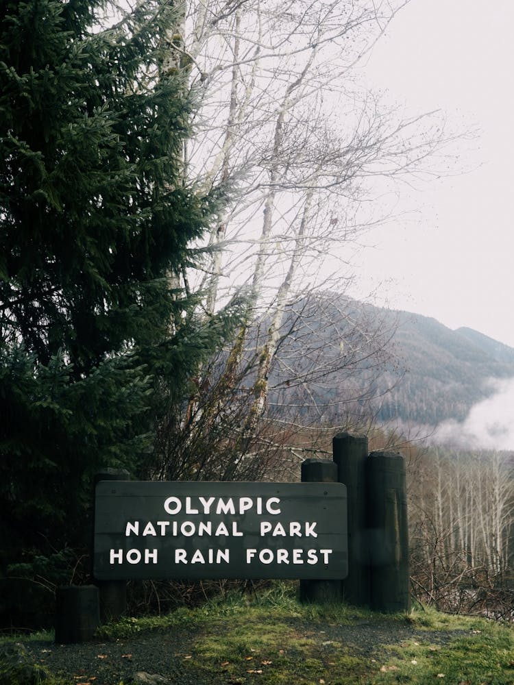 Olympic National Park Sign Hoh Rain Forest