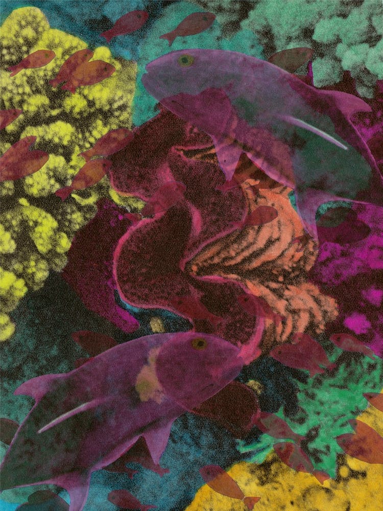 Deep Hue Sea 1
