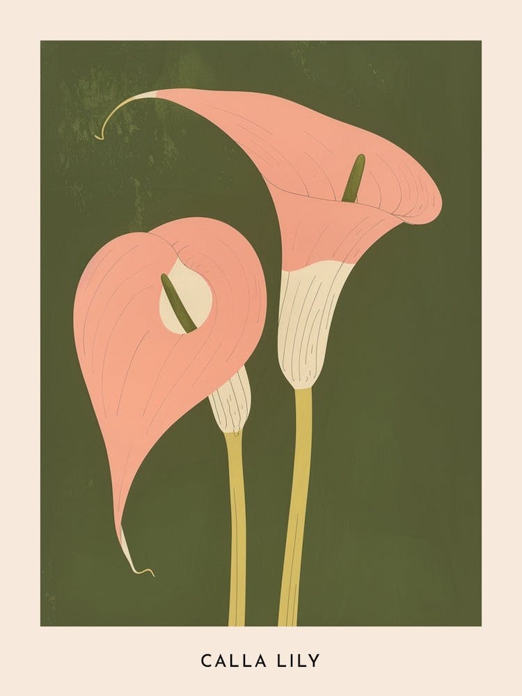 Pink & Green Calla Lily 2 Flower Poster