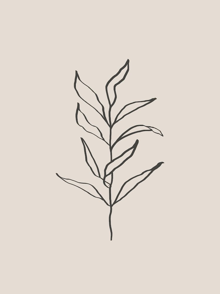 Plant Line Art No 394c