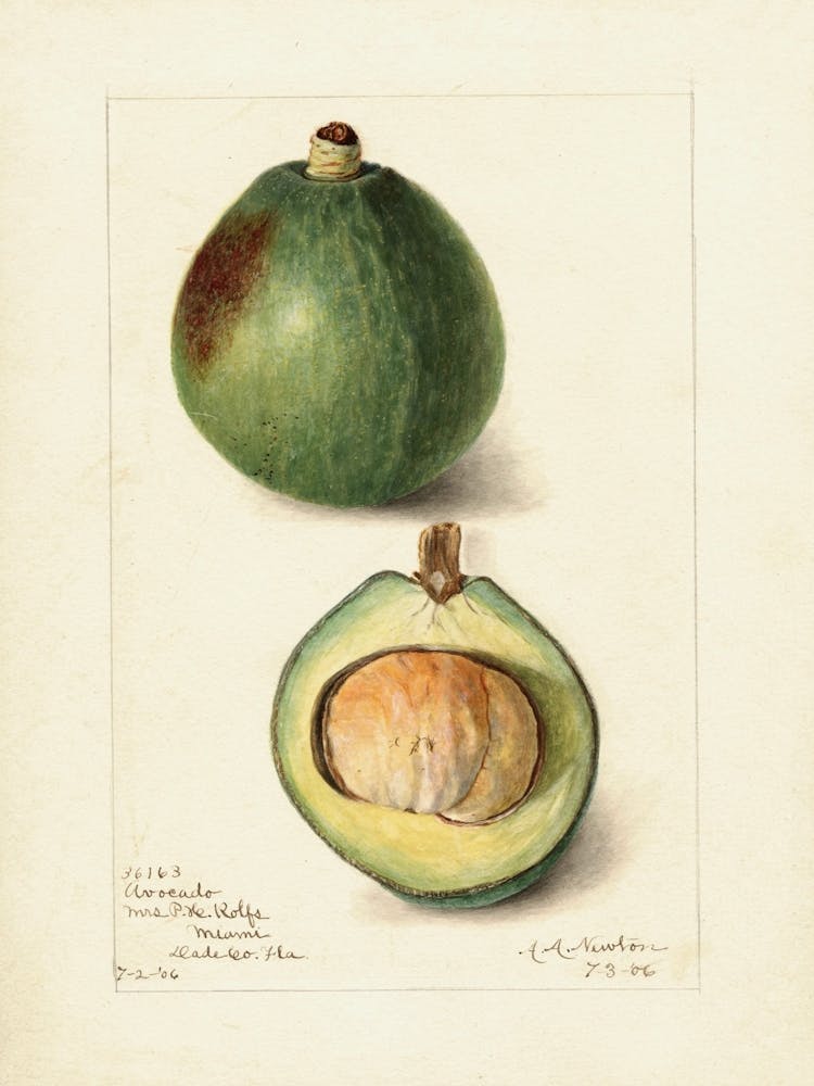 Figs 2