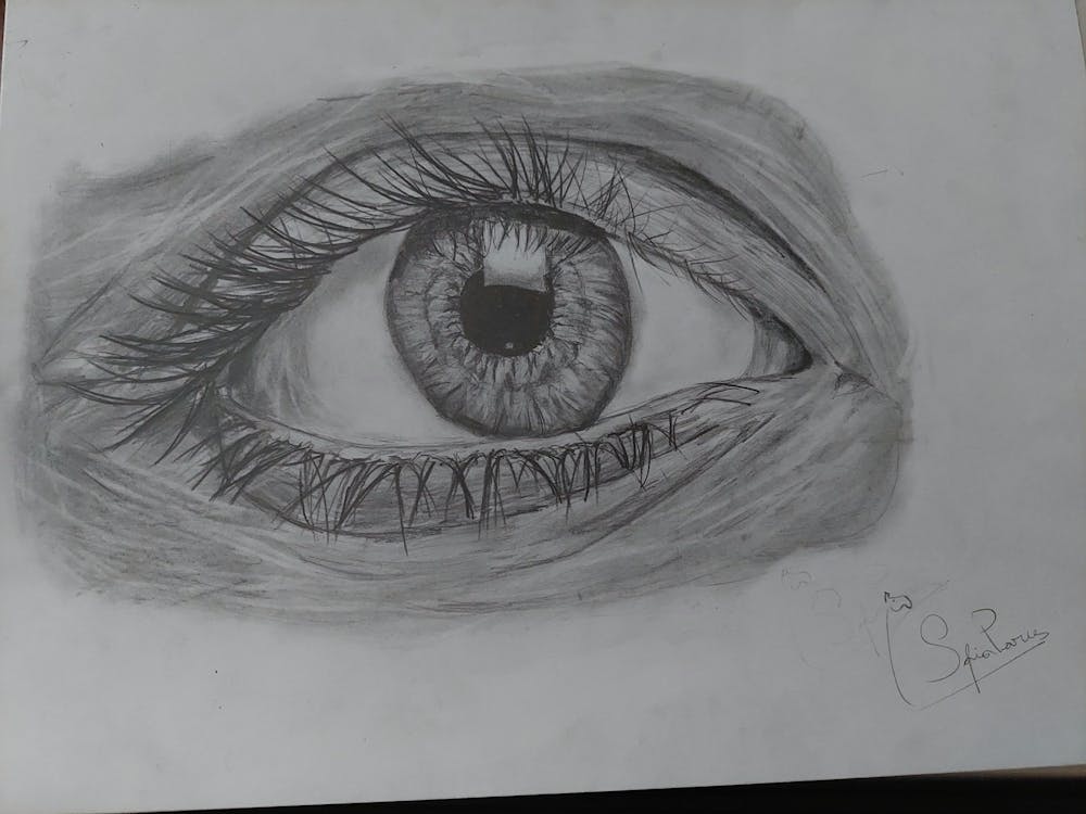 Ojo en blanco y negro