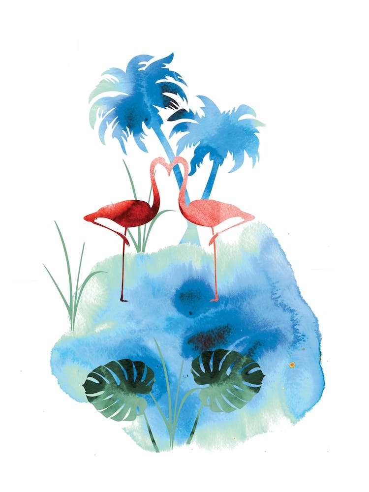 Flamingo Water