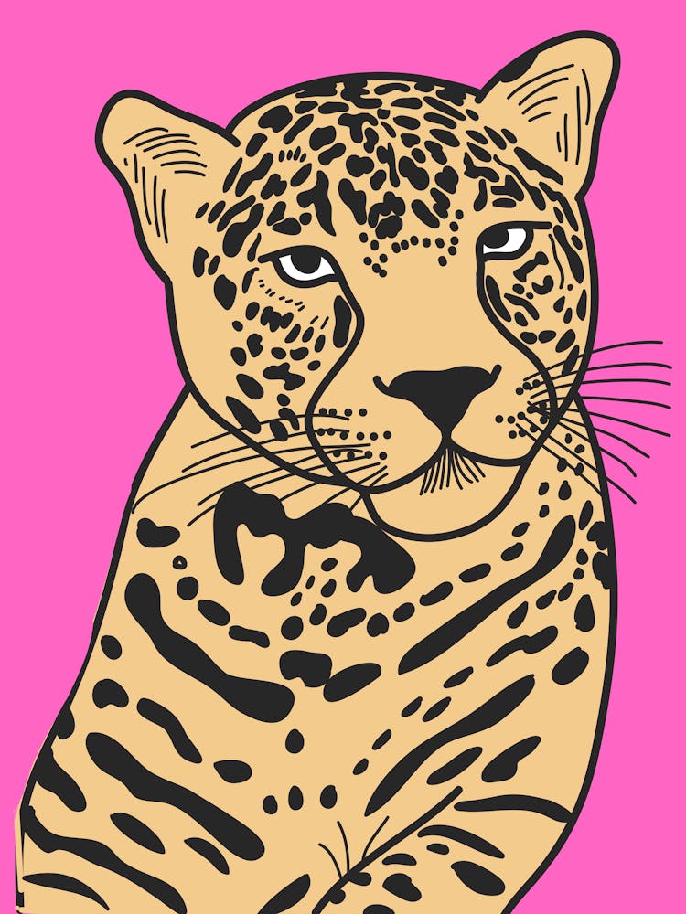 Leopard 8