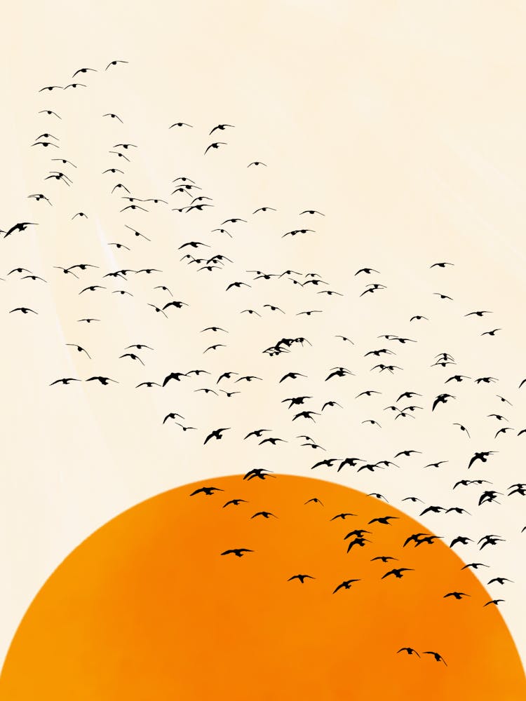 Sunrise Birds