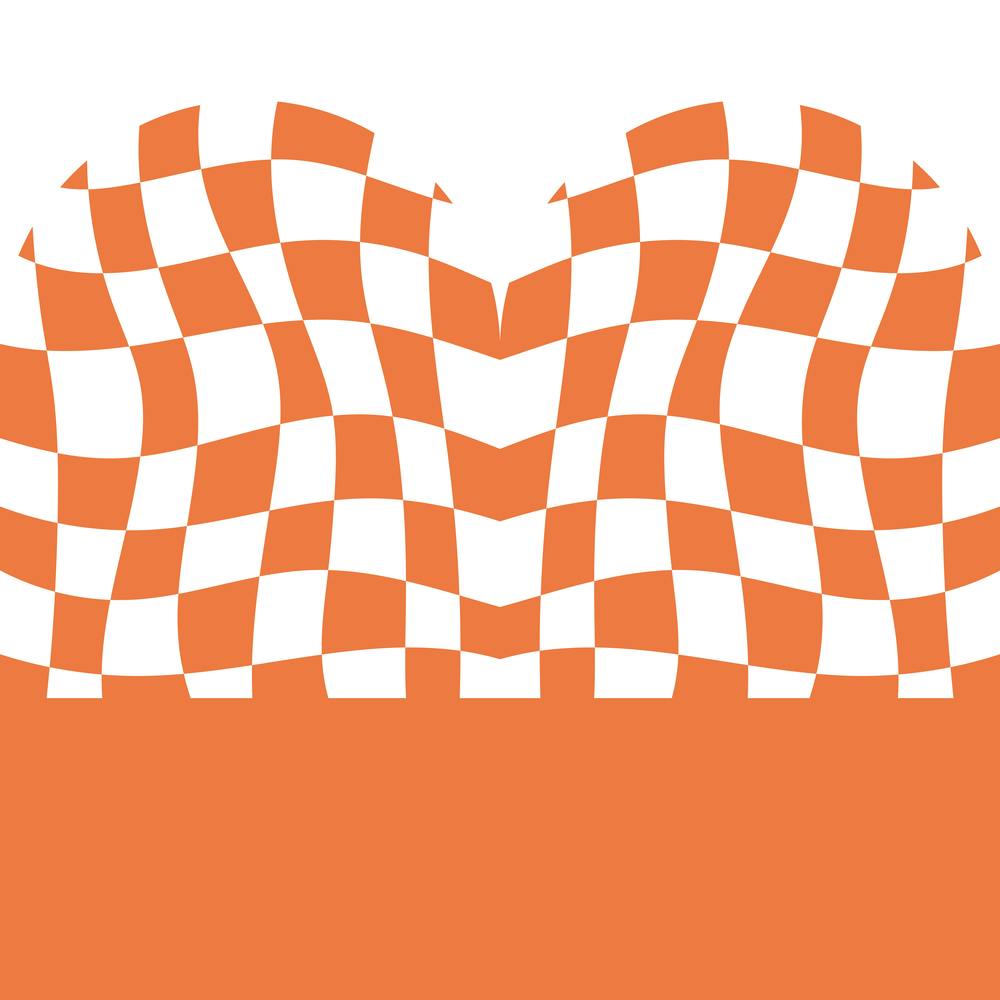 Vintage Checkered Flag 1