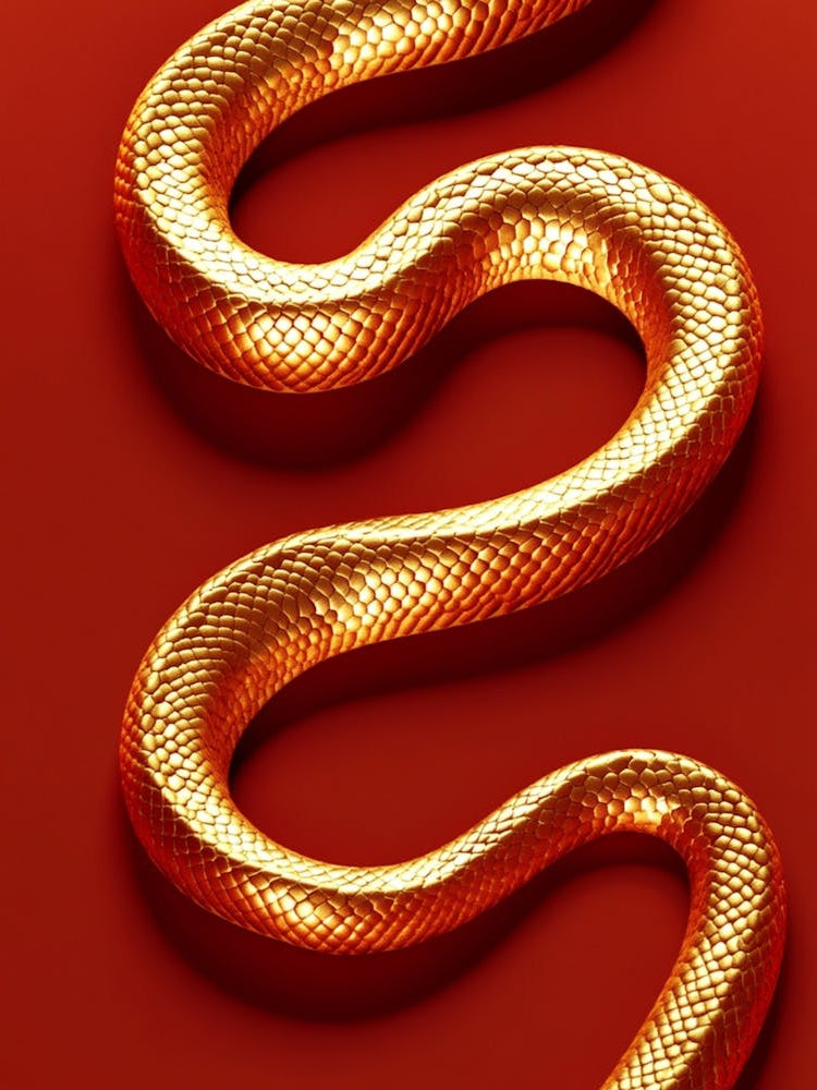 A Golden Snake On An Isolated Red Background