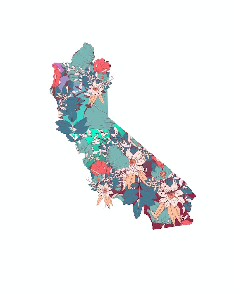 California Florals