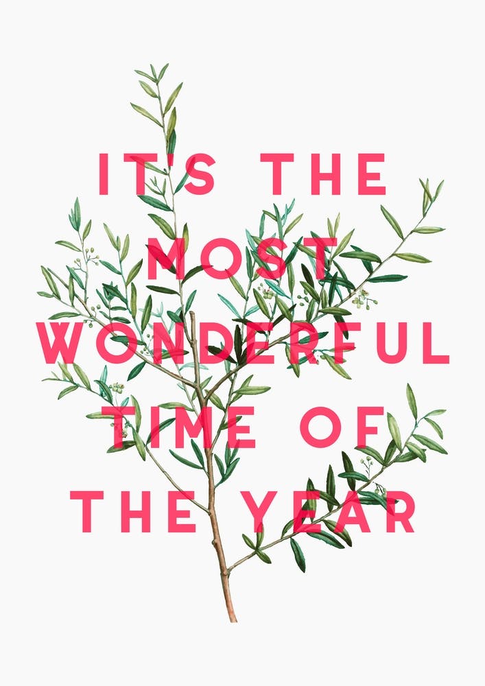 Most Wonderful