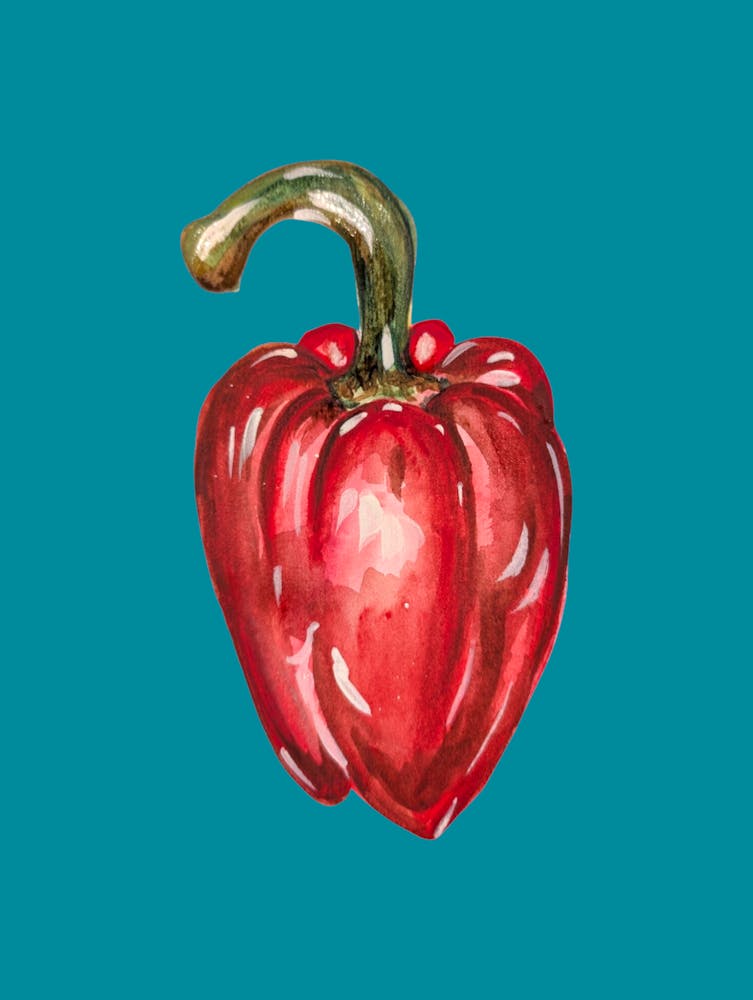 Red Bell Pepper Watercolour Illustration Kitchen 1