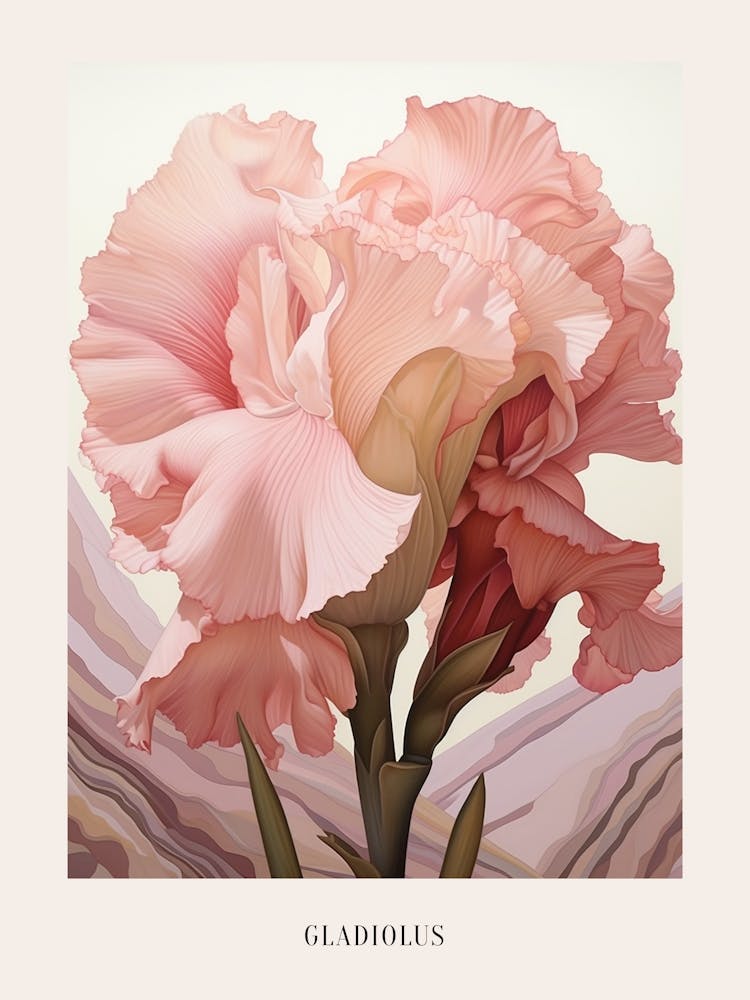 Floral Illustration Gladiolus 3 Poster