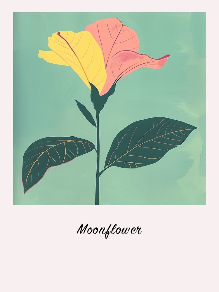 Affiche Illustration Fleur de Lune Carrée