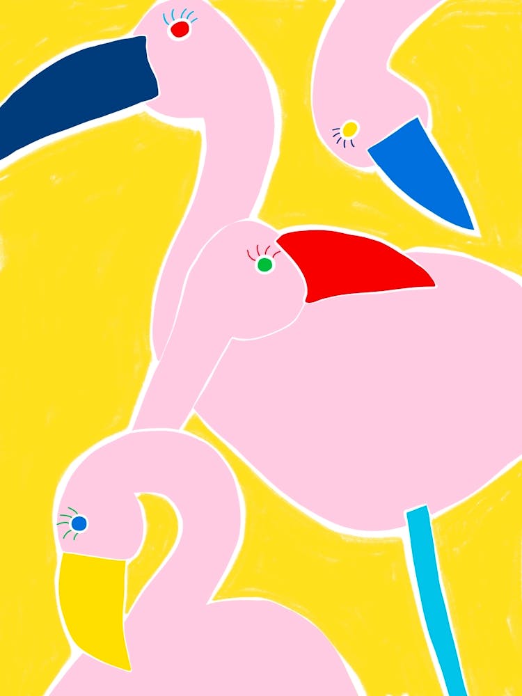 Flamingo