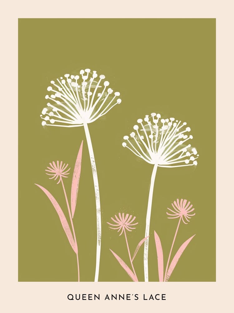 Pink & Green Queen Annes Lace 1 Flower Poster