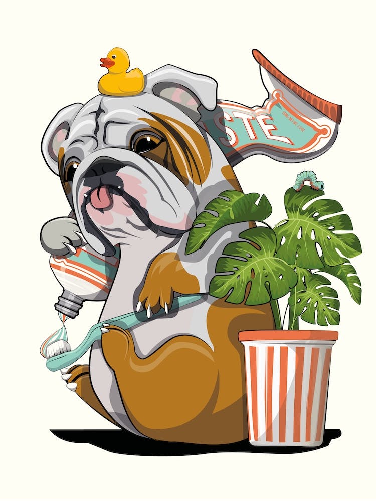 Bull Dog Cleaning Teeth