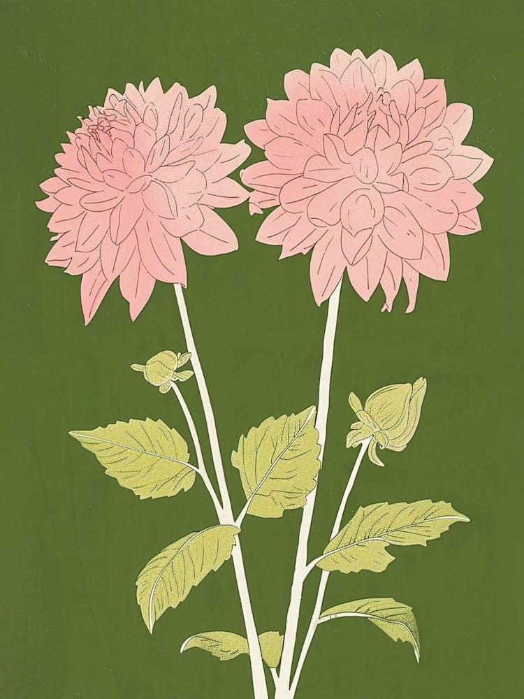 Pink & Green Dahlia 2