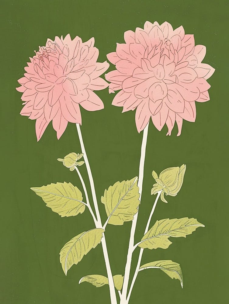 Pink & Green Dahlia 2