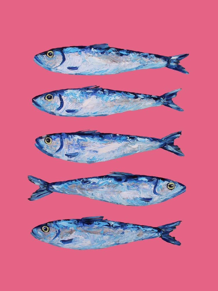 Sardines On Pink