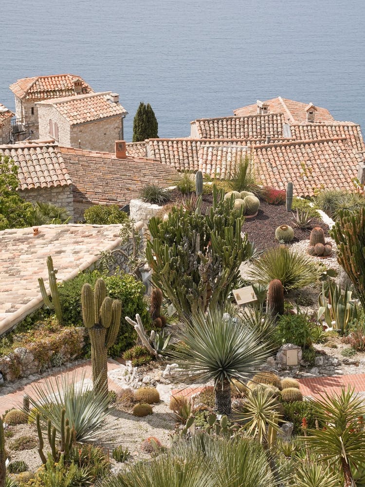 Jardin Au Bord de la Mer