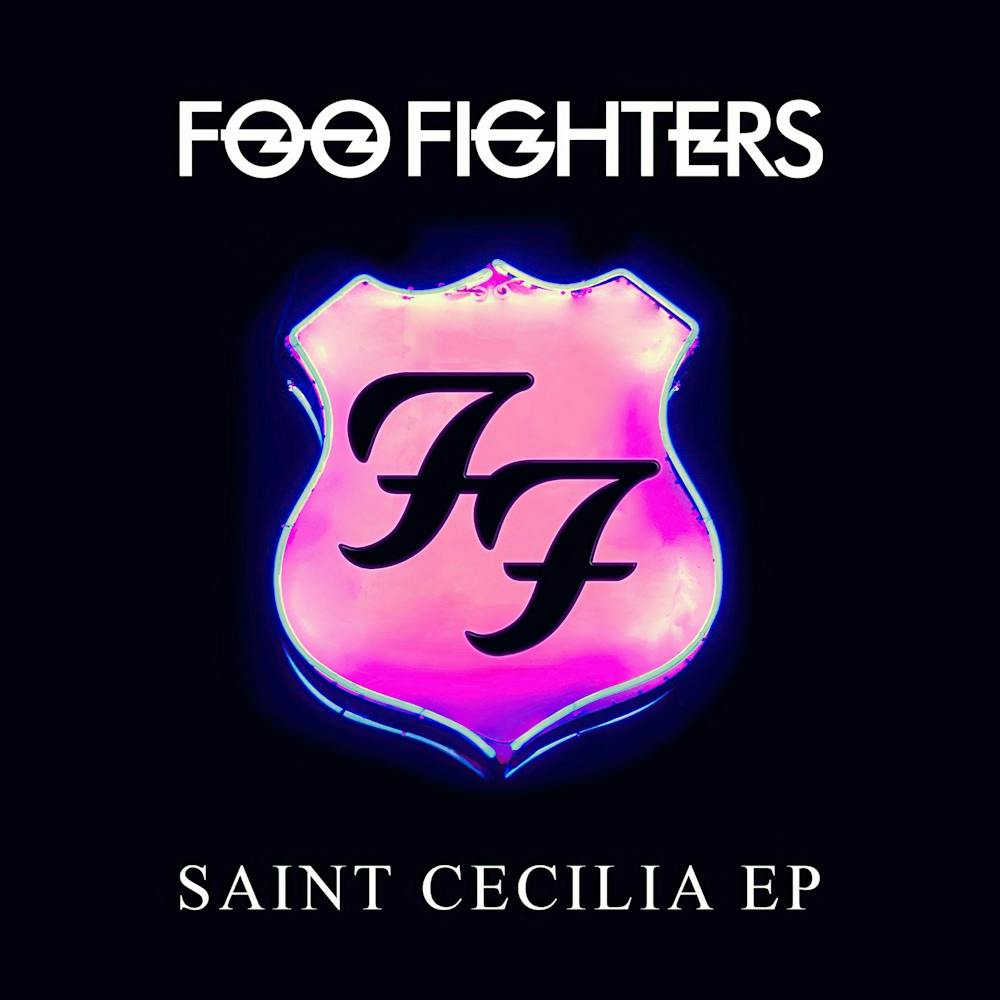 Foo Fighter Album (16)