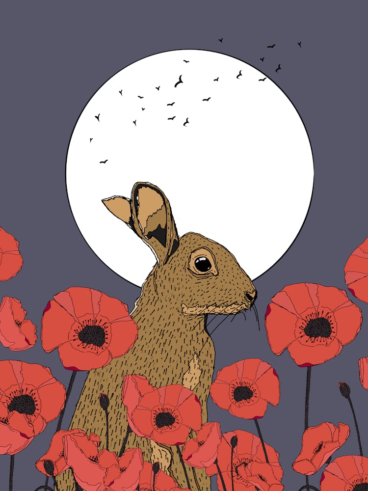 Rabbit In Poppies