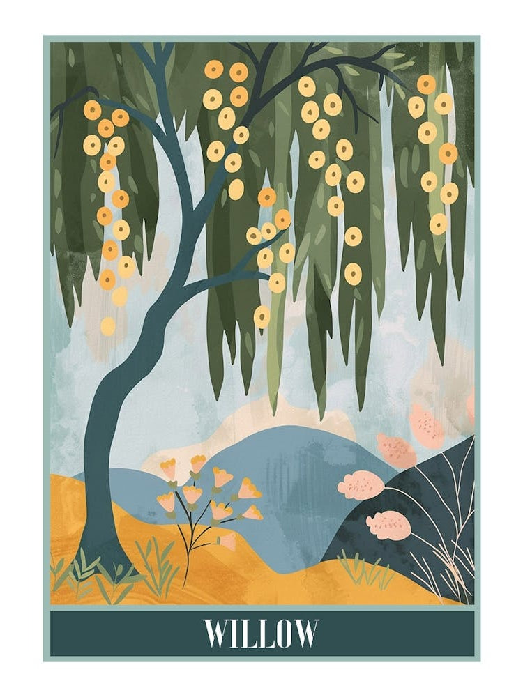 Willow Tree Flat Illustration 5 Poster