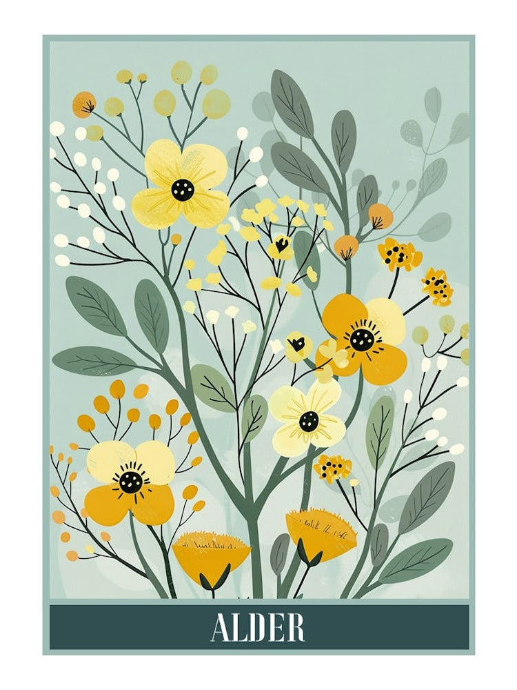 Alder Tree Flat Illustration 3 Poster