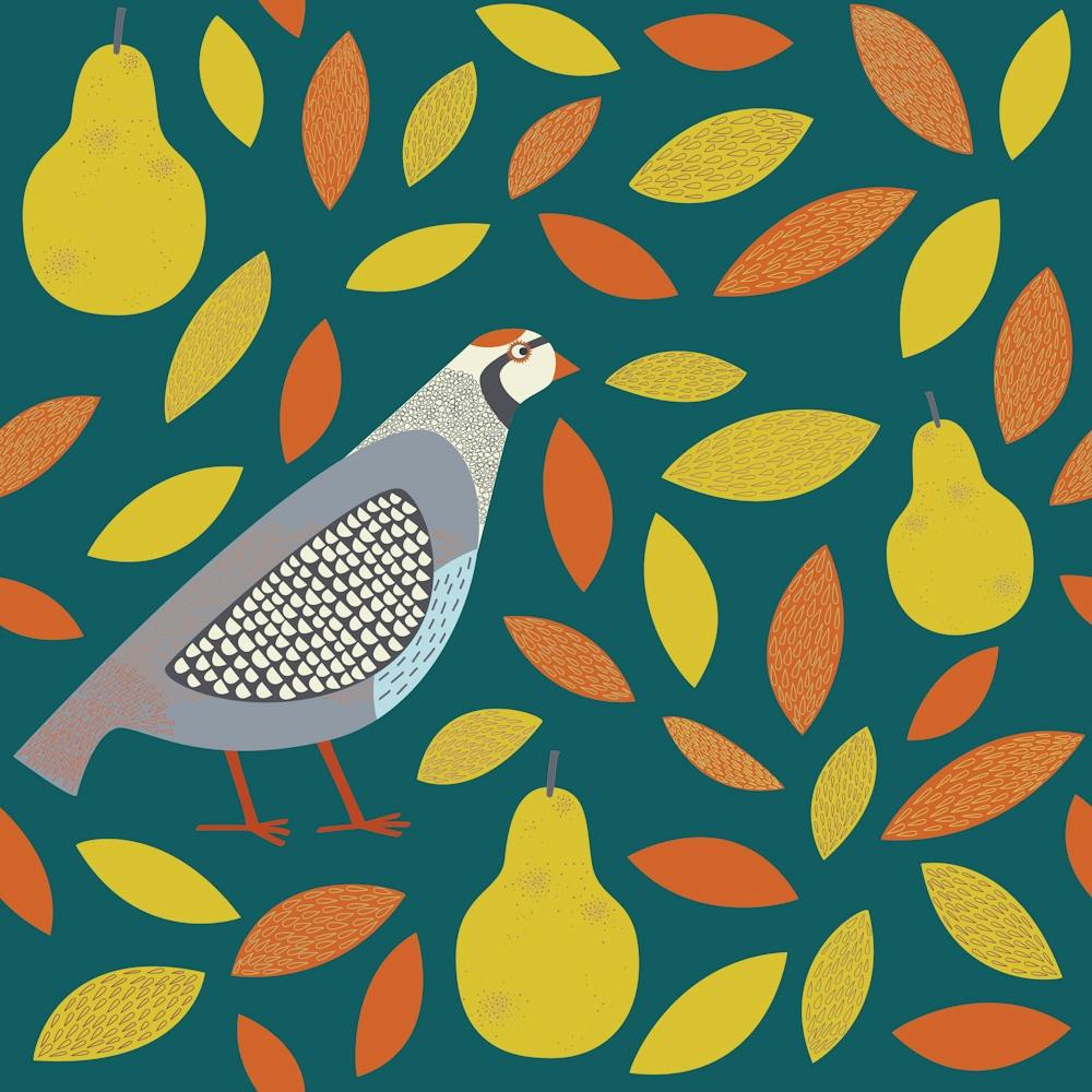 Partridge Game Bird with Pears on Teal Green