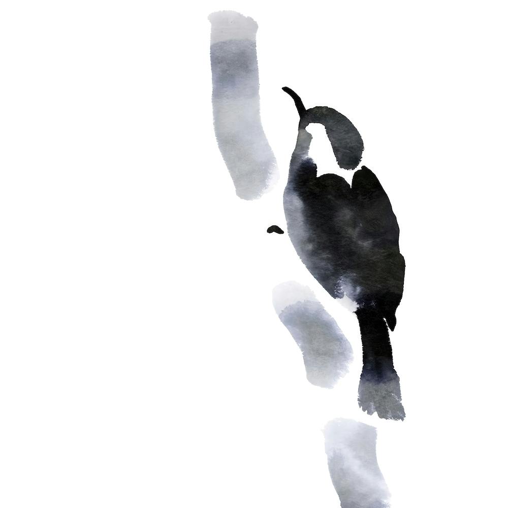 Nuthatch - Minimalistic Bird Painting