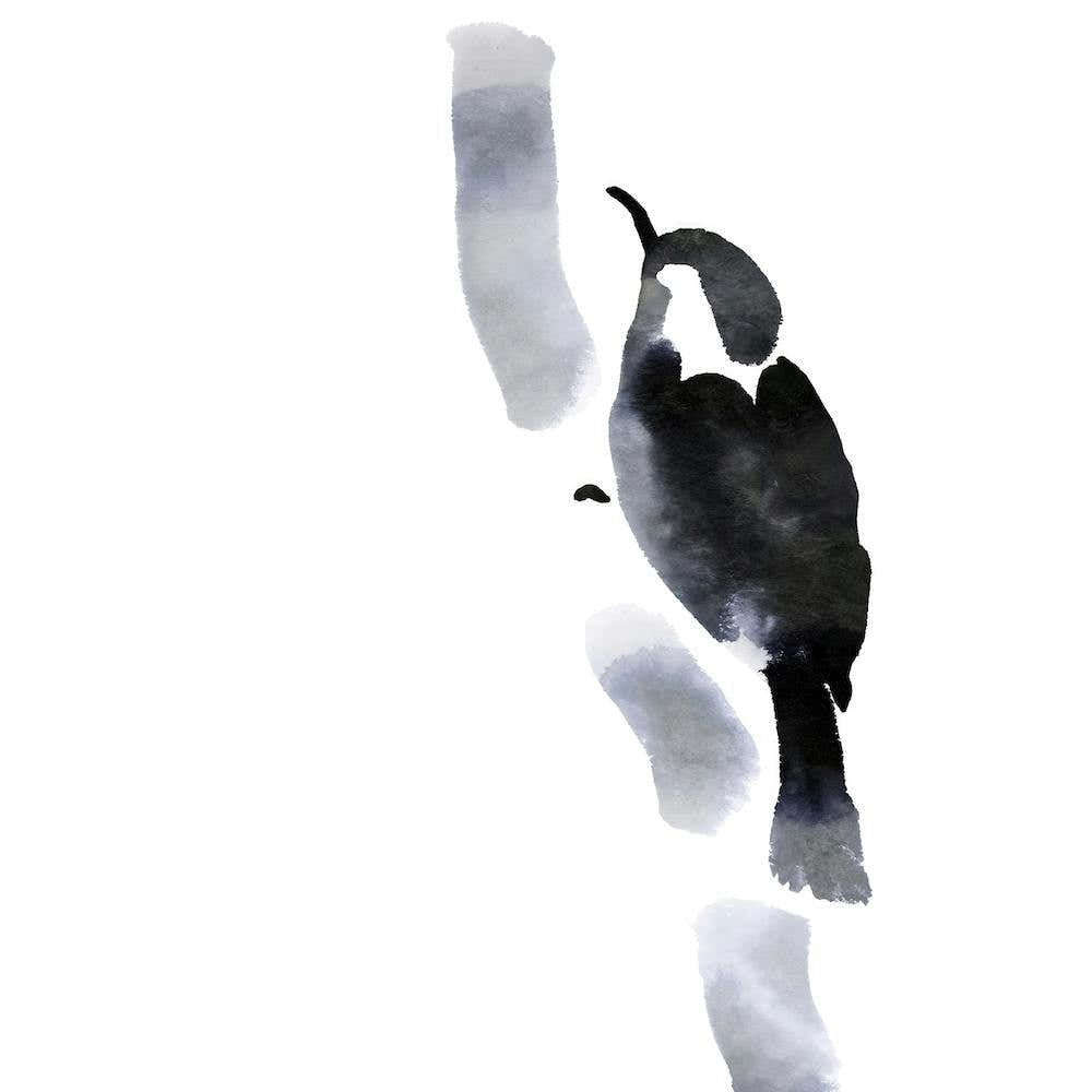 Nuthatch - Minimalistic Bird Painting