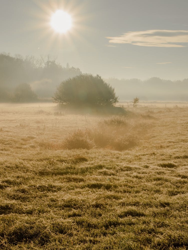 Sunrise Like A Painting