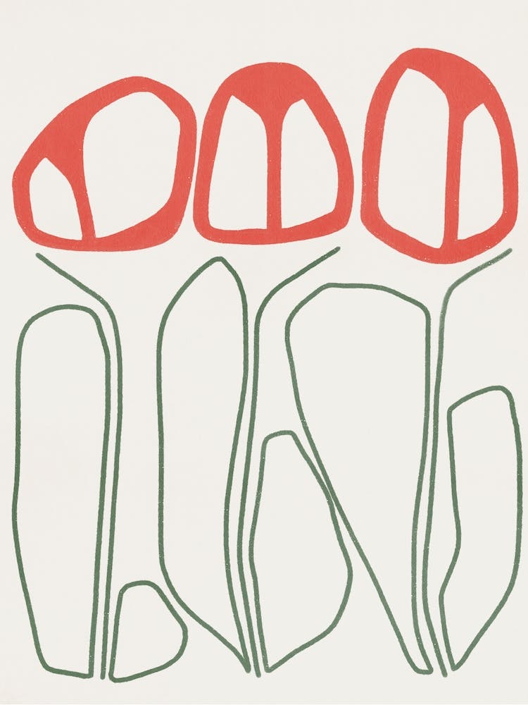 Ily