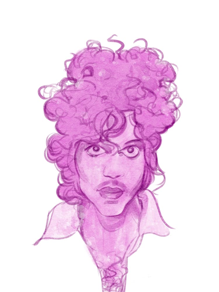 Prince Portrait Illustration