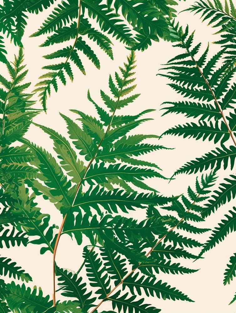 Pattern Poster Hares Foot Fern 3