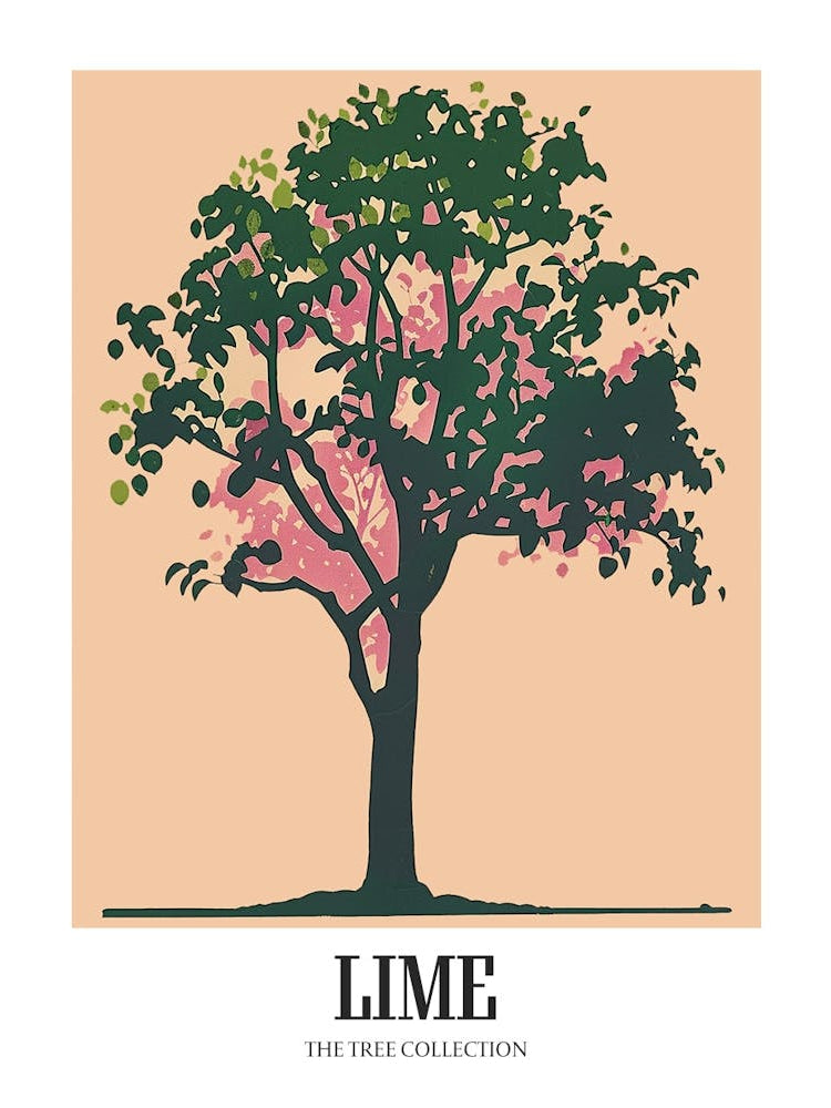 Lime Tree Colourful Illustration 4 Poster