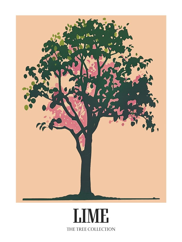 Lime Tree Colourful Illustration 4 Poster