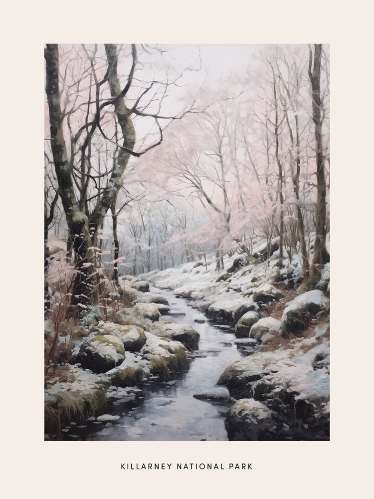 Dreamy Winter National Park Poster  Killarney National Park Ireland 4