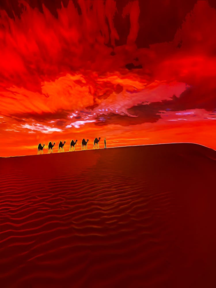 Camel Caravan In The Desert On A Sand Dune At Sunset