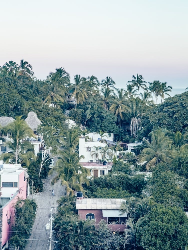 Town Of Palms