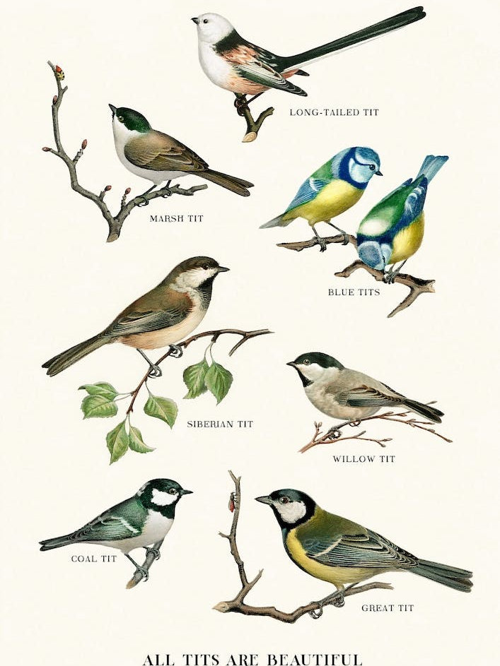 All Tits Are Beautiful Cream & Brown