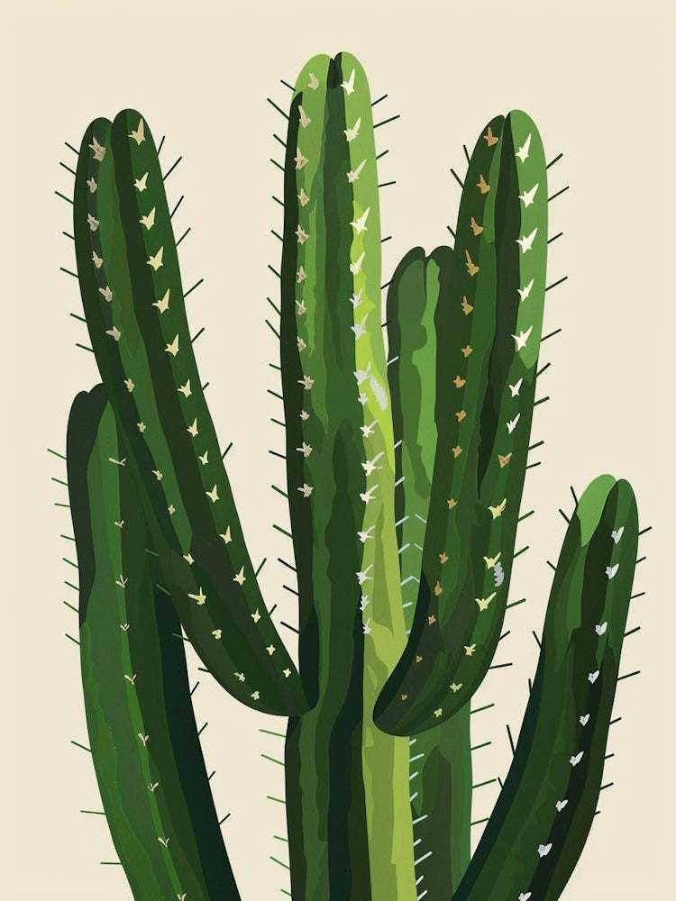 Echinocereus Cactus Minimalist Abstract 1