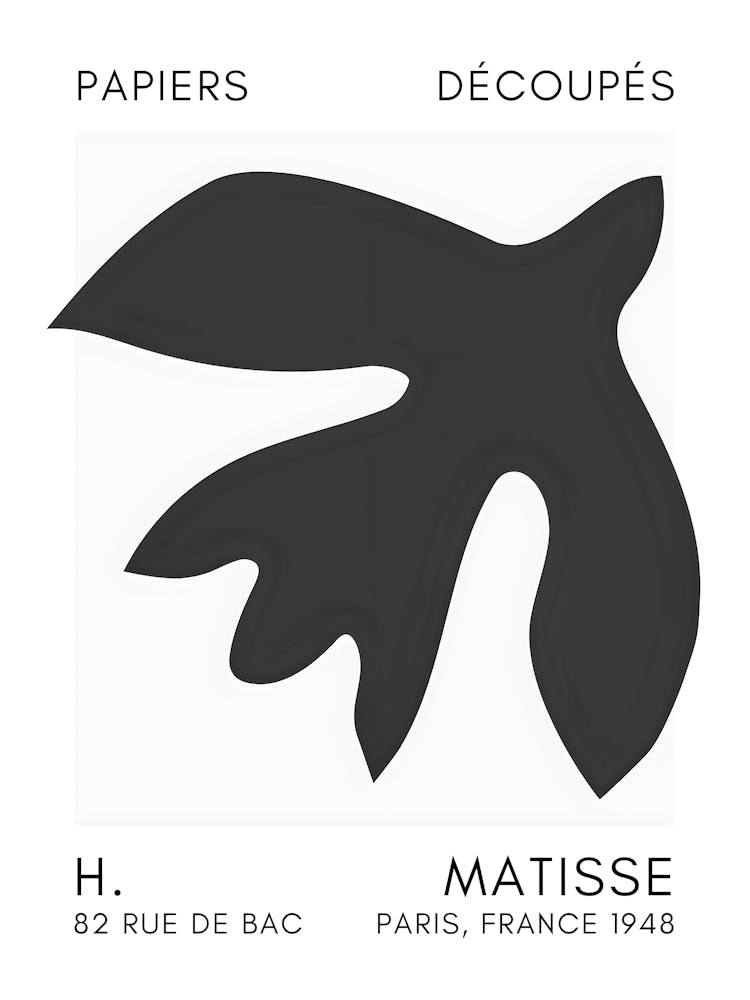 H Matisse 30